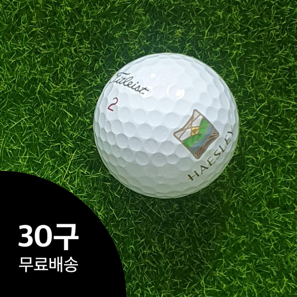 타이틀리스트 Pro V1 / V1x 로스트볼 - 30개